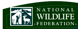 click here to visit the National Wildlife Federation website!