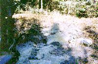 click on the picture to view enlarged image